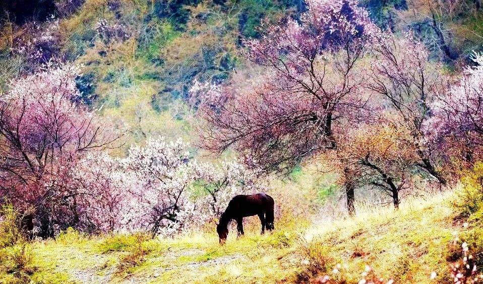 硬臥火車上可以充電嗎_火車充電硬臥上可以充電嗎_坐火車硬臥能不能充電