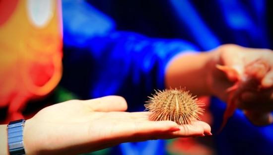 自駕嵊泗_自駕嵊泗島攻略_自駕游嵊泗列島