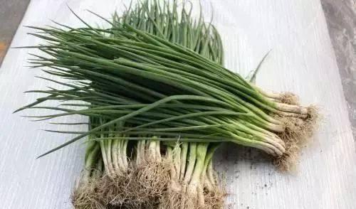 濰坊至臨沂火車票價_濰坊到臨沂的火車_濰坊到臨沂火車票