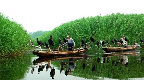 端午節(jié)旅游好去哪里玩_端午節(jié)去哪里旅游好_端午節(jié)旅游去處