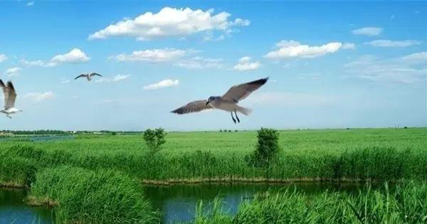 端午節(jié)去哪里旅游好_端午節(jié)旅游去處_端午節(jié)旅游好去哪里玩