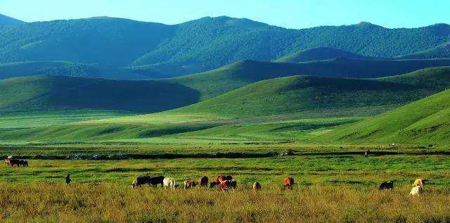 端午節(jié)去哪里旅游好_端午節(jié)旅游好去哪里玩_端午節(jié)旅游去處