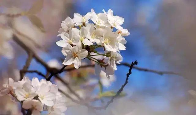 長沙周邊一天自駕游_長沙周邊2日游自駕游_長沙周邊一日自駕游推薦表