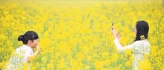 長沙周邊一日自駕游推薦表_長沙周邊2日游自駕游_長沙周邊一天自駕游