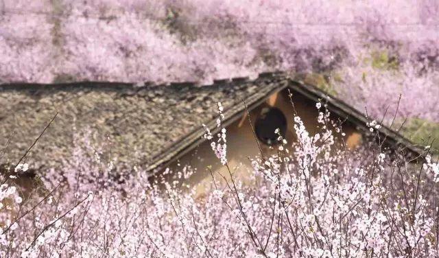 長沙周邊一天自駕游_長沙周邊2日游自駕游_長沙周邊一日自駕游推薦表