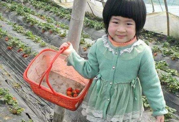 長沙周邊2日游自駕游_長沙周邊一天自駕游_長沙周邊一日自駕游推薦表