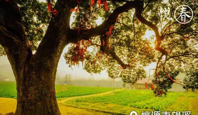 長沙周邊一天自駕游_長沙周邊一日自駕游推薦表_長沙周邊2日游自駕游