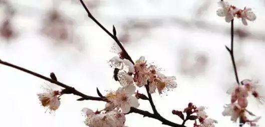 長沙周邊一天自駕游_長沙周邊2日游自駕游_長沙周邊一日自駕游推薦表