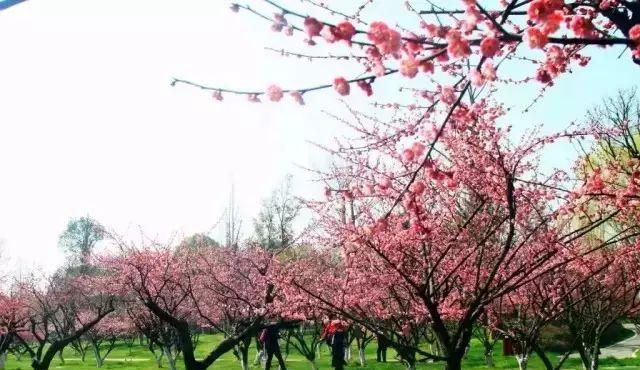 長沙周邊一天自駕游_長沙周邊一日自駕游推薦表_長沙周邊2日游自駕游