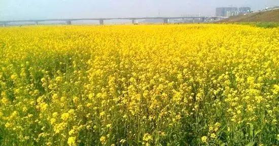 長沙周邊一日自駕游推薦表_長沙周邊一天自駕游_長沙周邊2日游自駕游