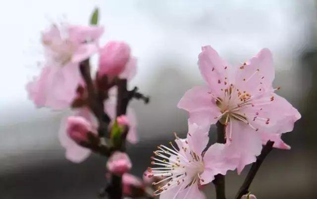 長沙周邊一日自駕游推薦表_長沙周邊一天自駕游_長沙周邊2日游自駕游