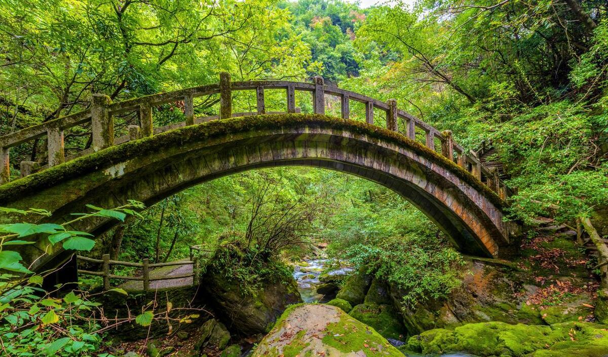 神農頂自駕游可以開車上去嗎_神農頂自駕游攻略_神農山自駕游攻略