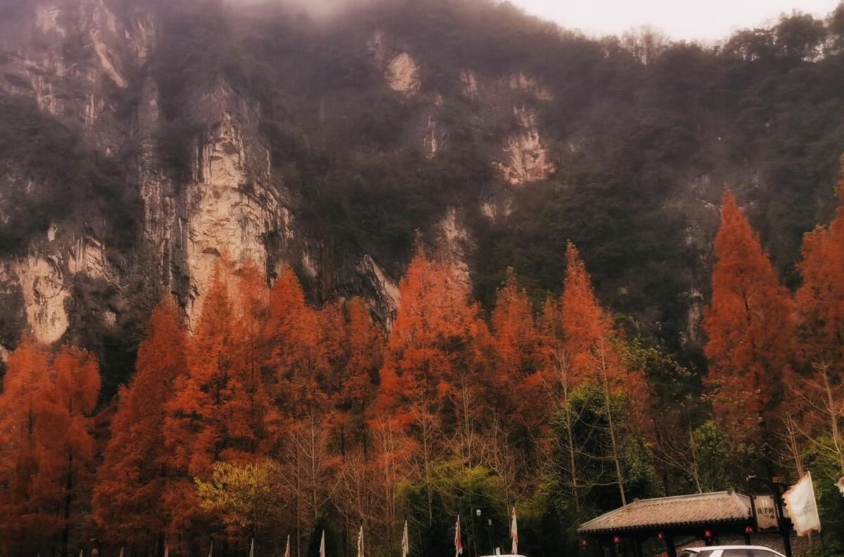 神農頂自駕游可以開車上去嗎_神農山自駕游攻略_神農頂自駕游攻略