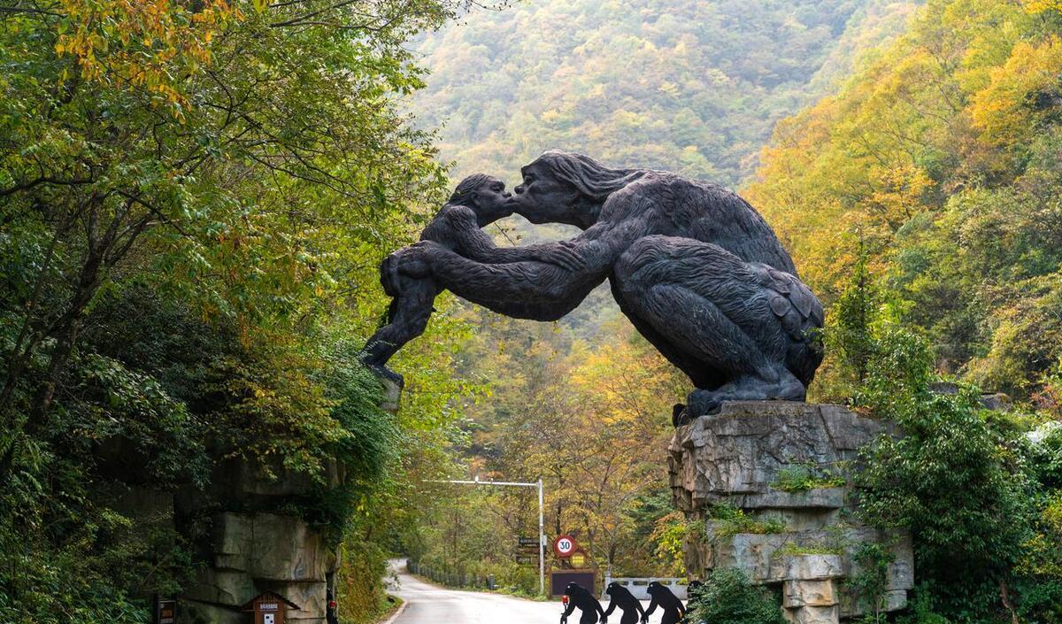 神農山自駕游攻略_神農頂自駕游可以開車上去嗎_神農頂自駕游攻略