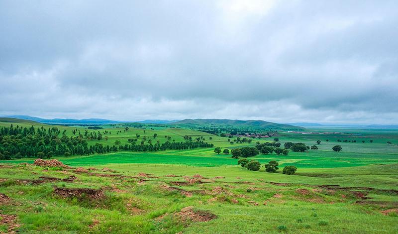 豐寧壩上草原:京郊旅游首選,多部影視劇取景地
