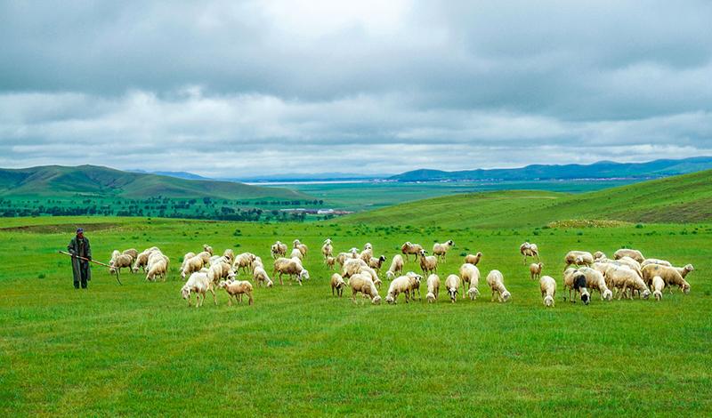 豐寧自駕游_自駕游豐寧壩上草原多少錢_自駕游豐寧壩上草原攻略