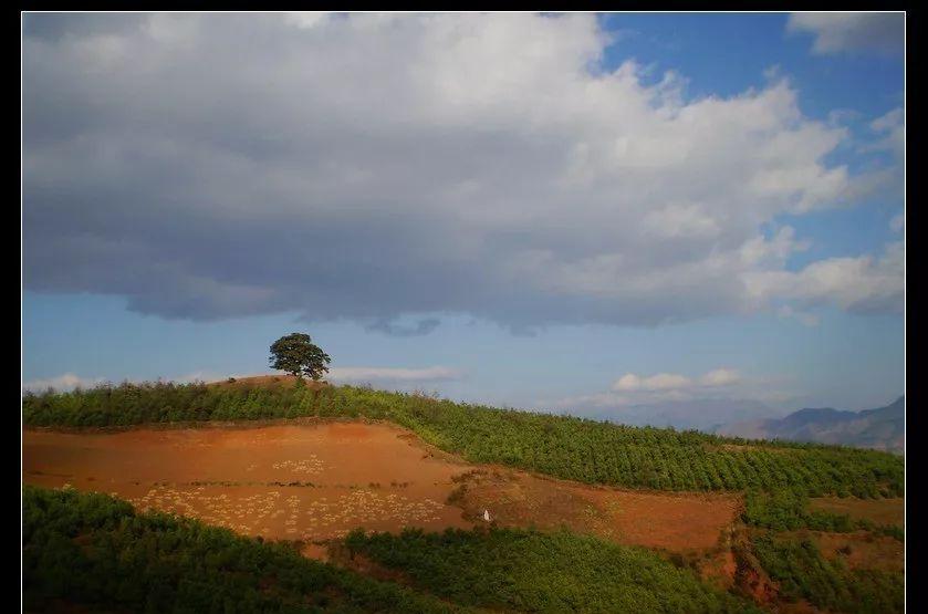 普者黑風景區視頻_廣西普者黑旅游攻略_普者黑旅游線路