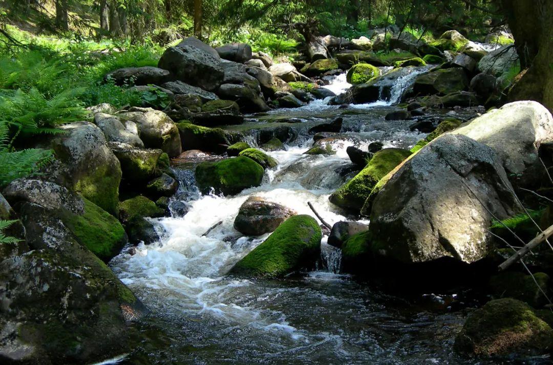從西安自駕游_西安出發自駕游線路推薦_十一西安出發自駕游