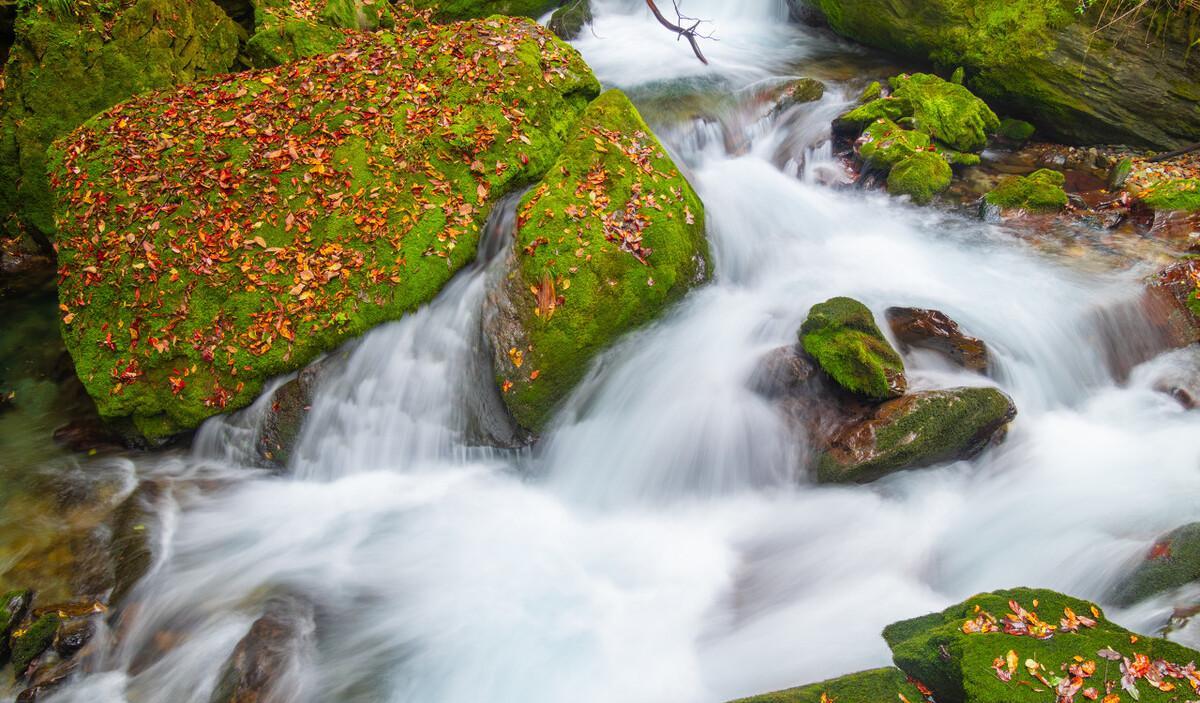 神農(nóng)谷自駕游攻略_自駕神農(nóng)頂景區(qū)路線圖_神農(nóng)頂自駕游攻略