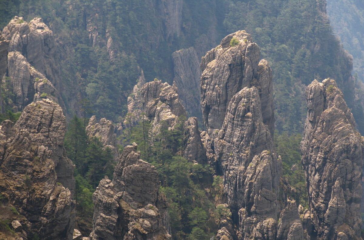 自駕神農(nóng)頂景區(qū)路線圖_神農(nóng)頂自駕游攻略_神農(nóng)谷自駕游攻略