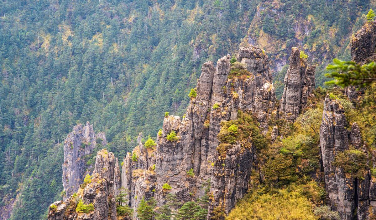 自駕神農(nóng)頂景區(qū)路線圖_神農(nóng)谷自駕游攻略_神農(nóng)頂自駕游攻略