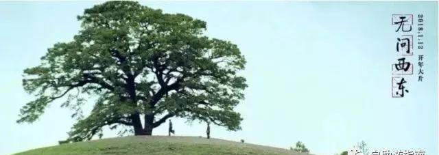 普者黑旅游線路_廣西普者黑旅游攻略_普者黑旅游功略