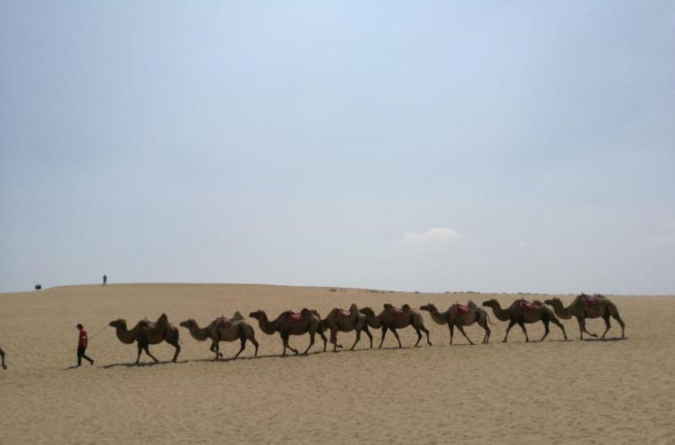 寧夏周邊省自駕游_寧夏周圍自駕游_寧夏自駕周邊省游攻略