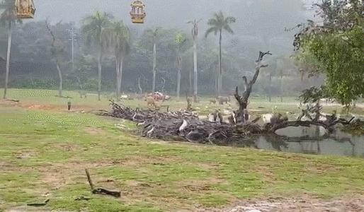 大廣州遛娃勝地貼心指南!冷熱門景點一網打盡(內含交通/住宿/餐飲/優惠政策信息)!