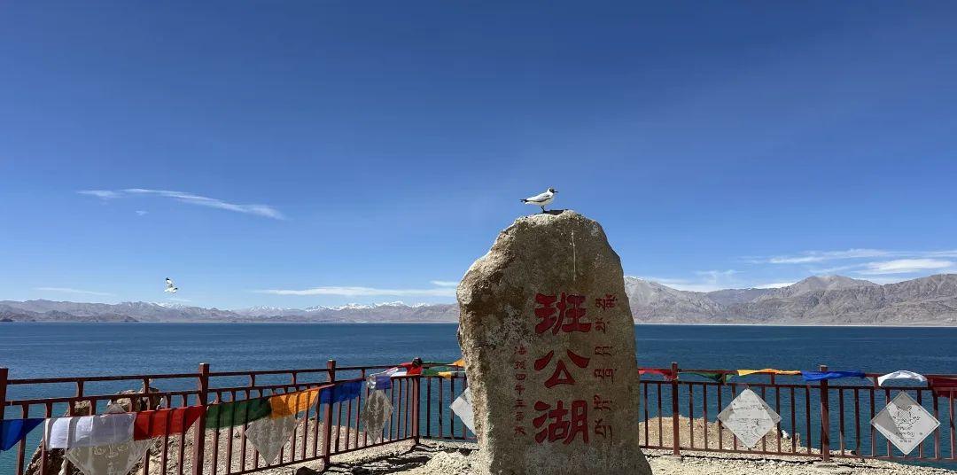 漁湖初級中學班花班草貼吧_班公湖旅游_金牛湖中心小學46班徐勇