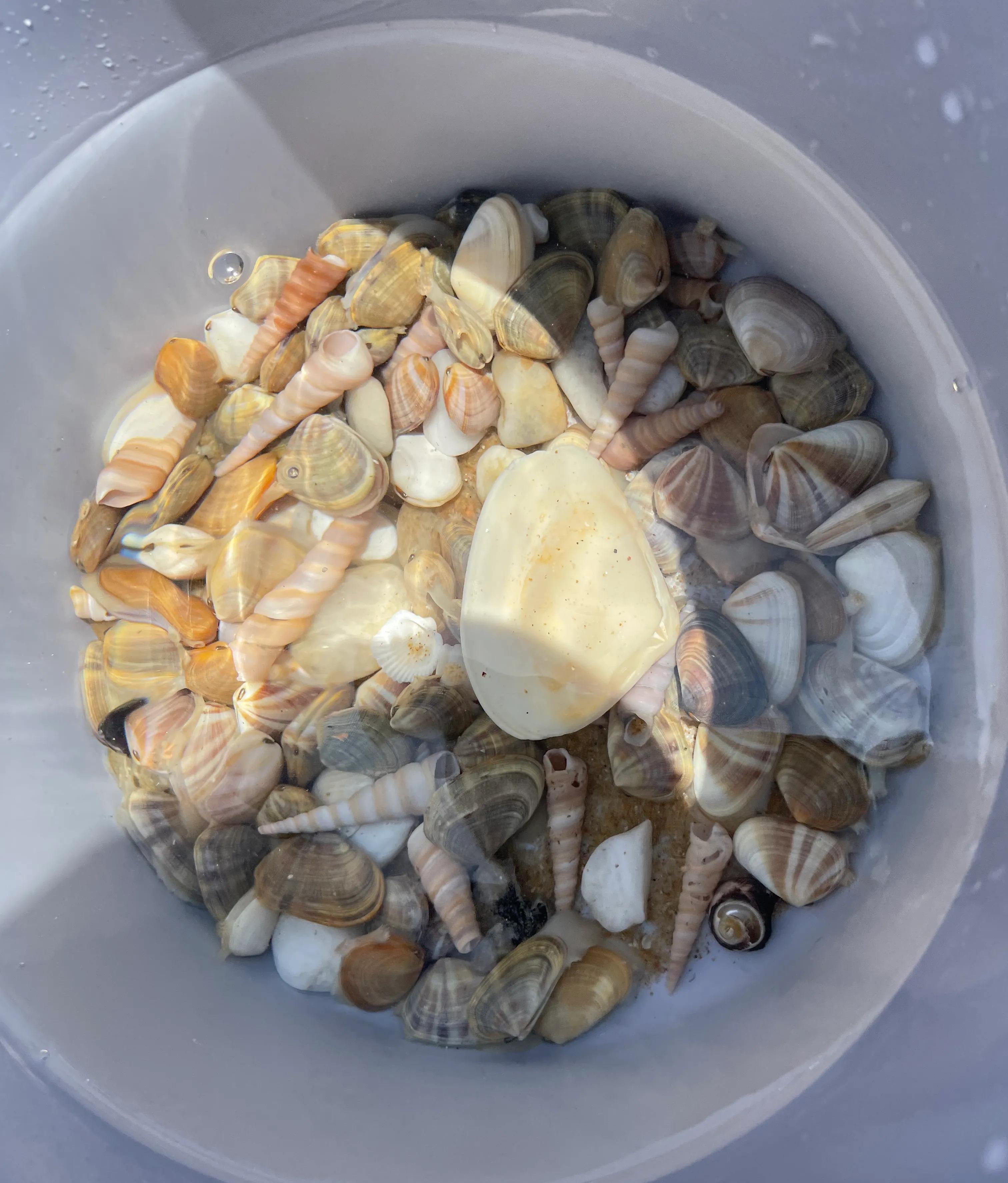 海陵島自駕旅游攻略三日游_海陵島自駕游攻略及費用_海陵島自駕游旅游攻略