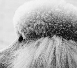 火車上讓帶酒水_火車上讓帶酒_火車上帶酒的規定2019