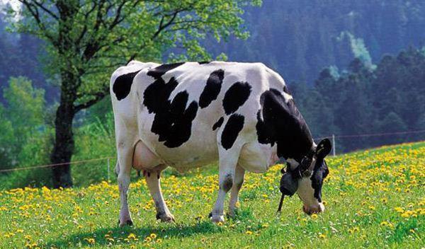 火車站徐店家屬樓在哪_徐家店火車站_火車站商店營業時間