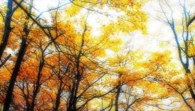 秋季旅游城市_秋季旅游國內最佳城市_秋季旅游城市排行榜