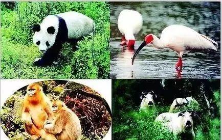 十一西安出發自駕游_西安出發自駕游線路推薦_自駕西安旅游路線