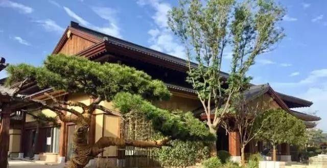 自駕西安旅游路線_西安出發自駕游線路推薦_十一西安出發自駕游