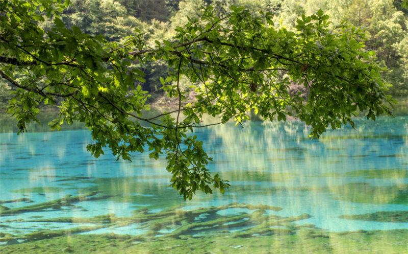 夏季去哪里旅游_夏季旅游去處_夏季旅游去哪最好