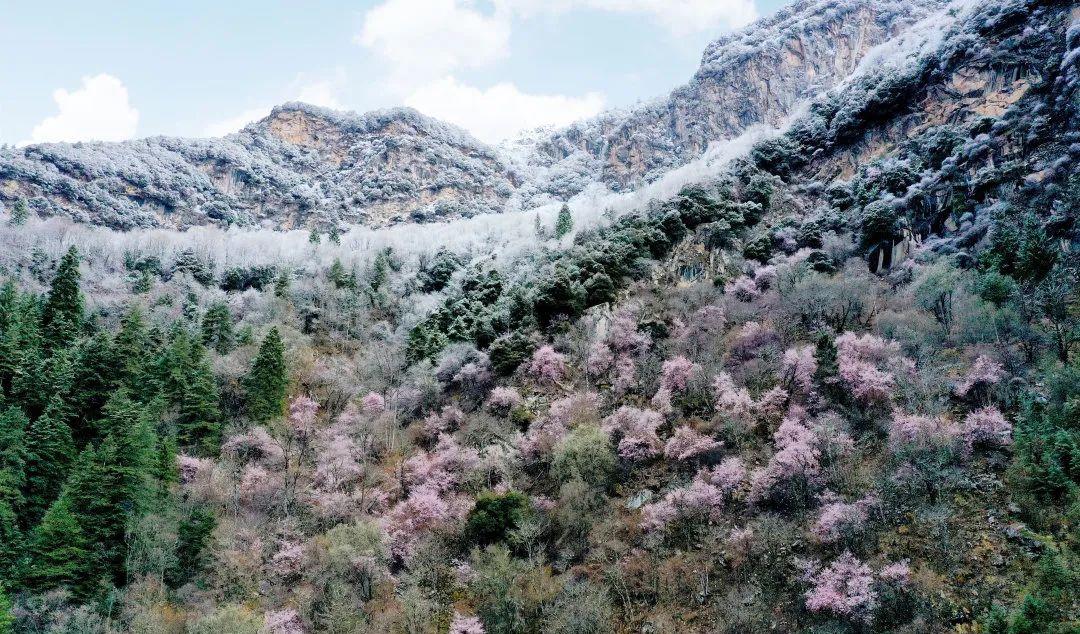 古達攻略_達古峽谷游玩攻略_達古自駕游