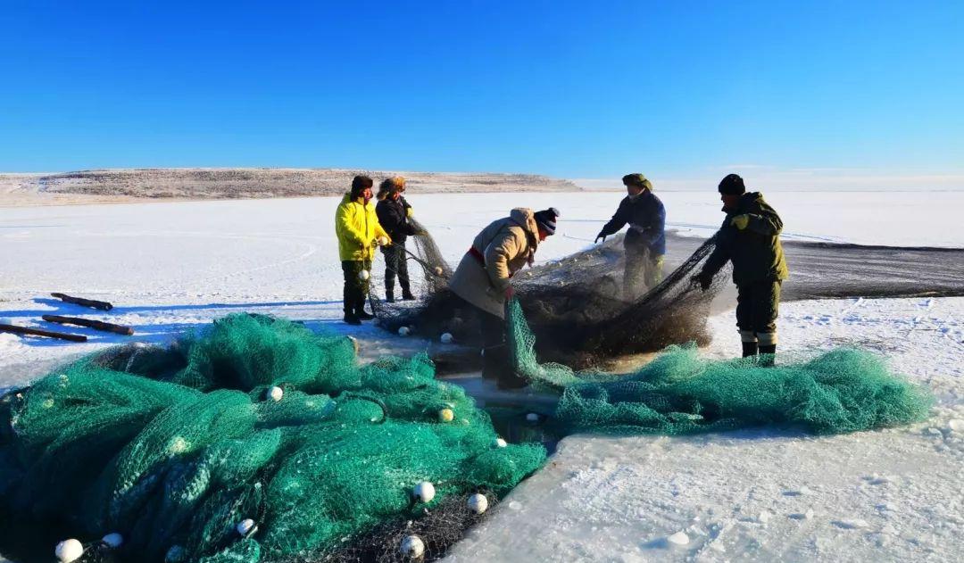 克旗自駕游攻略_克旗自駕游_克旗一日游