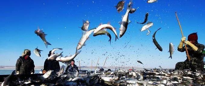 克旗自駕游攻略_克旗一日游_克旗自駕游