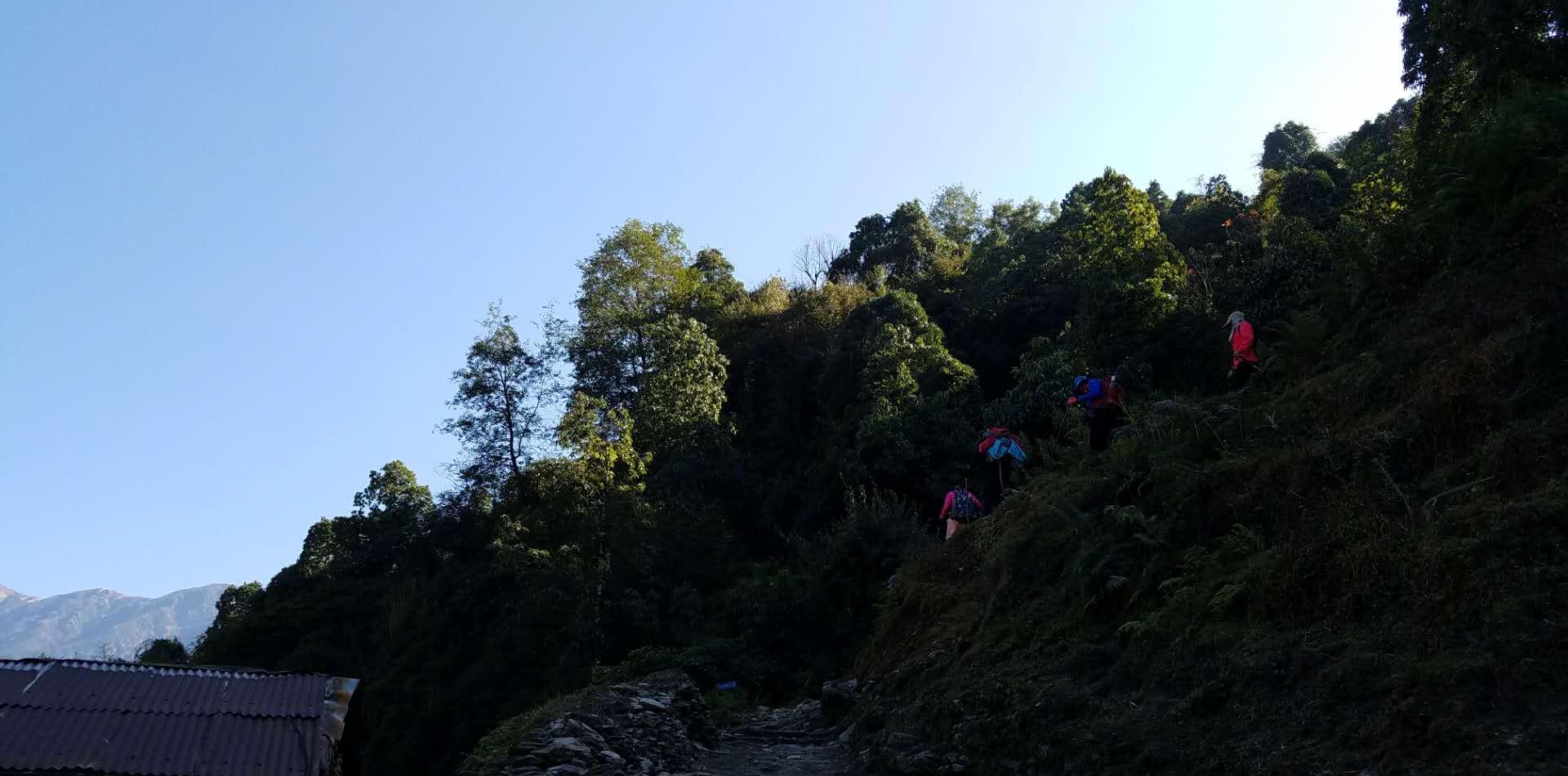 山×戶外俱樂部和×蟻自駕游俱樂部旅行費用及條款解析