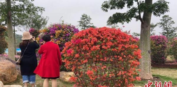 2021 年清明節假日期間廣西接待游客超千萬人次,紅色旅游等成熱門選擇