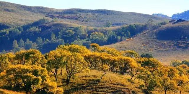 克旗旅游路線圖_克旗自駕游_克旗旅游團