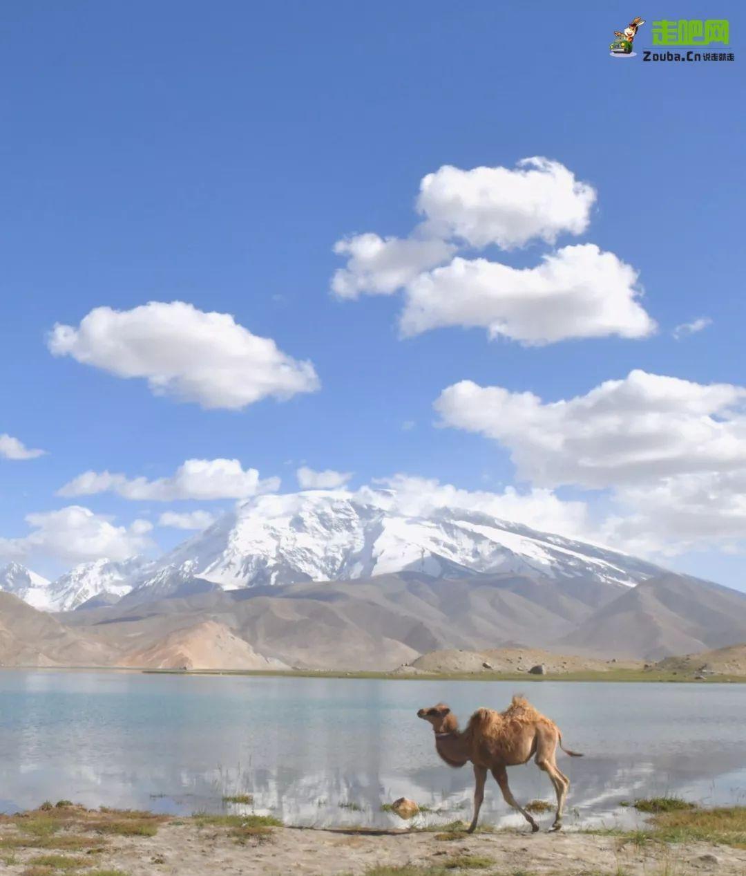 新疆南部旅游最佳路線_南疆 旅游_新疆南疆旅游地圖