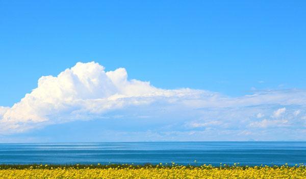 2022 年青海湖景區門票價格、優惠政策及購票須知全攻略