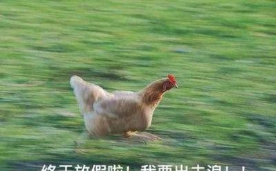 成都去廈門自駕游攻略_廈門自駕成都路線_成都自駕廈門旅游攻略