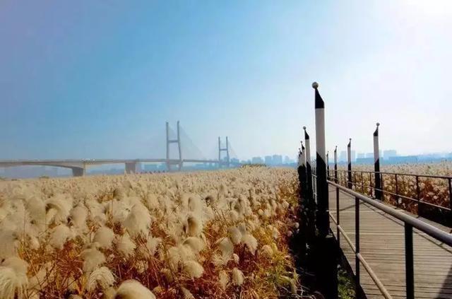 火車站附近的美食_火車站附近小吃_火車站附近的吃的