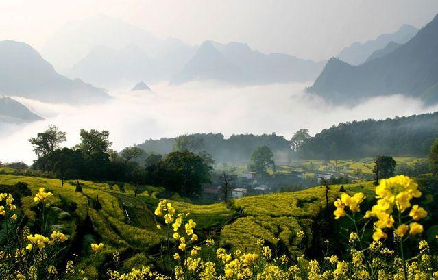 My Radio 樂行天下:3 月 26 日-30 日,九華山、婺源等 6 大景區五日游