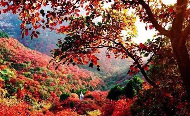 鳳凰城一日游旅游景點_鳳凰城自駕游_去鳳凰城玩要多少錢