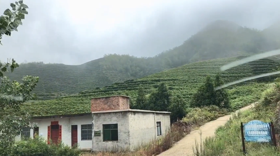 衡陽旅游十大景點_衡陽旅游攻略必去的景點推薦_衡陽旅游