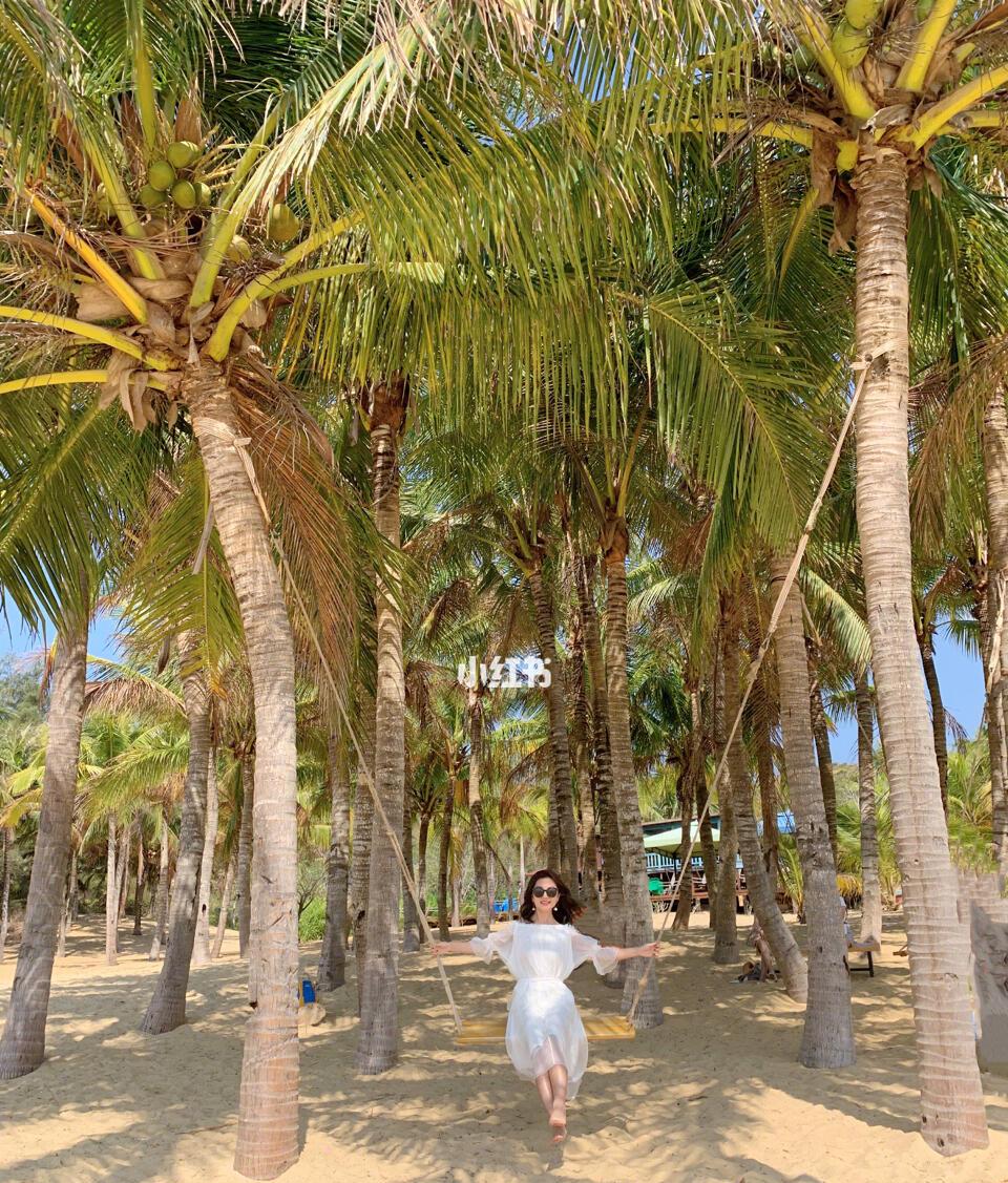 春節(jié)海南自駕游攻略，詳細(xì)介紹路況、景點(diǎn)及氣候